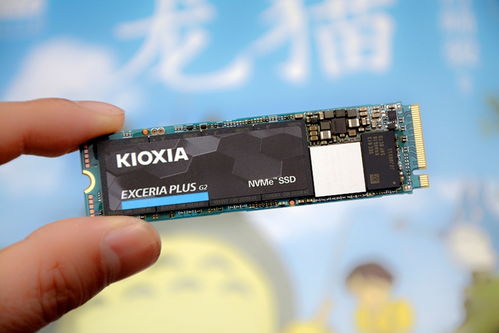 與1tb 2tb同速,鎧俠 原東芝存儲(chǔ)器 rd20 ssd簡(jiǎn)評(píng)