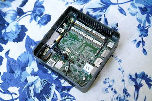 解毒 牙膏廠竟然也有良心產(chǎn)品 七代目nuc上手玩